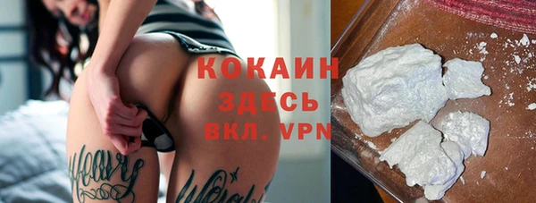 эйфоретик Ладушкин