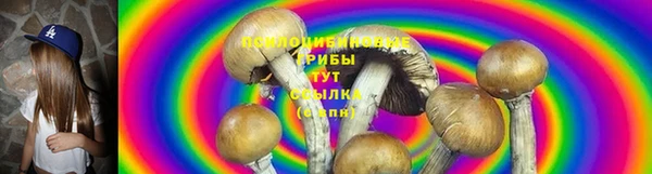эйфоретик Ладушкин