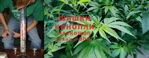 прущие грибы Лагань