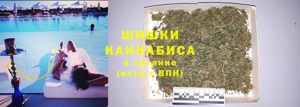 прущие грибы Лагань