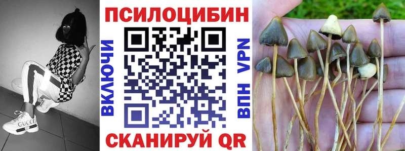 Псилоцибиновые грибы MAGIC MUSHROOMS  Называевск 